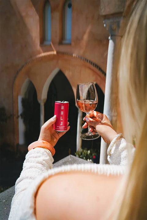 Bree Wild Berry Spritz 0,2 l Dose