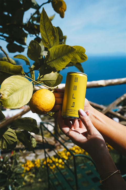 Bree Limoncello Spritz 0,2 l Dose