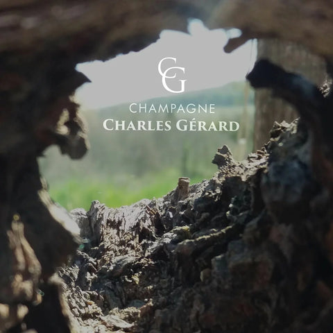 Champagner Charles Gérard, Blanc de Noir, Grande Reserve Brut