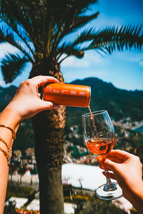 Bree Spritz Aperitivo 0,2 l Dose