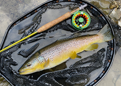 McFrens yellow MayFly - Der Gamecanger unter den Maifliegen