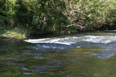Schöne Rausche in dem Fluss Wenne in Wenholthausen im Sauerland - WALDDESIGNERIN® 
