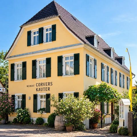 Weingut Corvers Kauter im Sonnenschein - Rheingau Oestrich Winkel - WALDDESIGNERIN® 