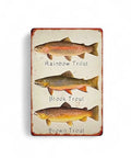 Retro Blechschild mit Rainbow Trout, Brook Trout und Brown Trout