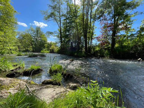 Schöner Flussabschnitt der Wenne in Wenholthausen im Sauerland - WALDDESIGNERIN® 