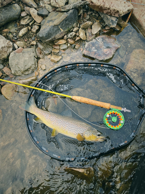 McFrens yellow MayFly - Der Gamechanger unter den Maifliegen