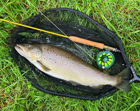 McFrens yellow MayFly - Der Gamechanger unter den Maifliegen
