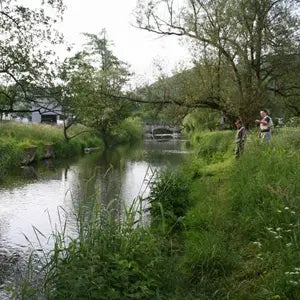 Fliegenfischerin in der Wenne in Wenholthausen im Sauerland - WALDDESIGNERIN® 