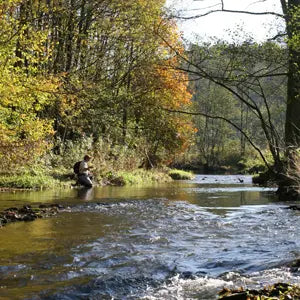 Fliegenfischerin in der Wenne in Wenholthausen im Sauerland - WALDDESIGNERIN® 