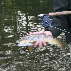 Fliegenfischerin in der Wenne in Wenholthausen im Sauerland - WALDDESIGNERIN® 