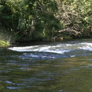 Fliegenfischerin in der Wenne in Wenholthausen im Sauerland - WALDDESIGNERIN® 