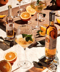 GiNSAN!TY - Gincello - Orangen Gin