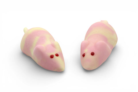 Schaumzucker Mäuse mit KiBa Geschmack - Jetzt im Sauerland kaufen!