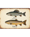 Blechschild Äsche & Bachforelle - Fliegenfischen - WALDDESIGNERIN® 