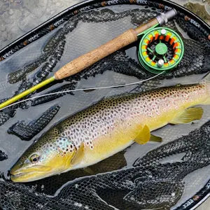 Sauerland Fly Shop - WALDDESIGNERIN® 