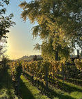 Corvers Kauter Rosé Rheingau 2025 - WALDDESIGNERIN® 