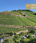 Weingut Corvers-Kauter im Rheingau