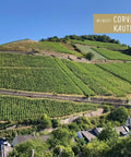 Corvers Kauter Rosé Rheingau 2025 - WALDDESIGNERIN® 