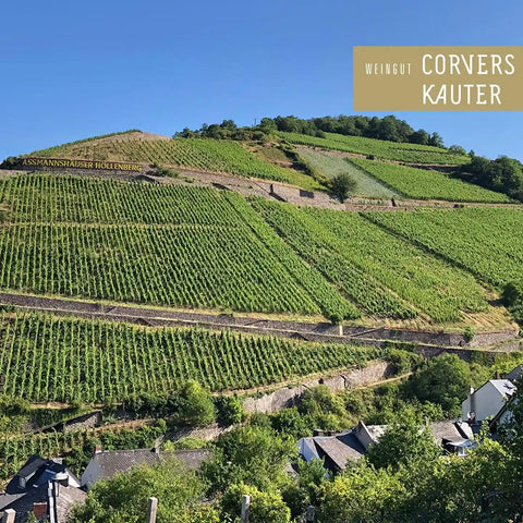 Corvers Kauter Rosé Rheingau 2025 - WALDDESIGNERIN® 